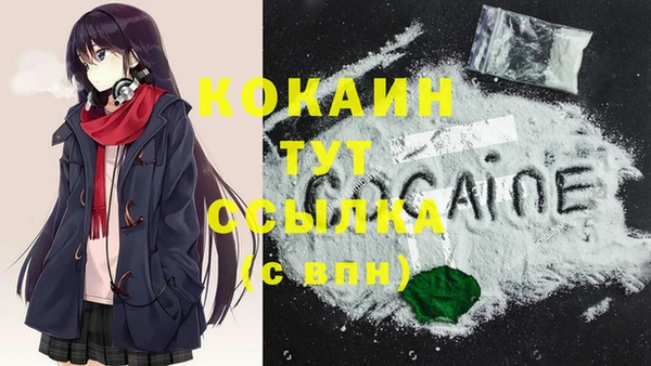 первитин Няндома