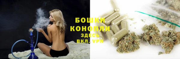первитин Няндома