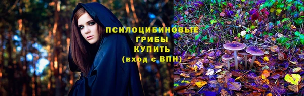твердый Нягань